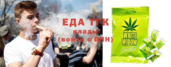 твердый Ельня