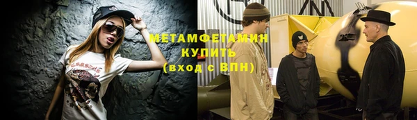 шишки Елизово