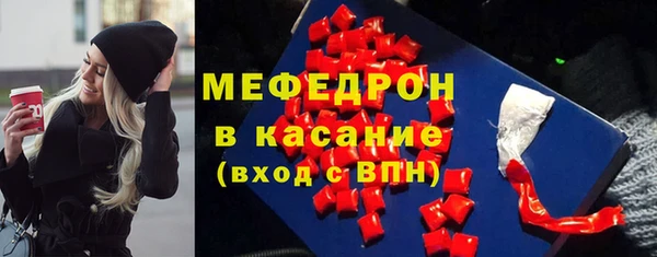 твердый Ельня