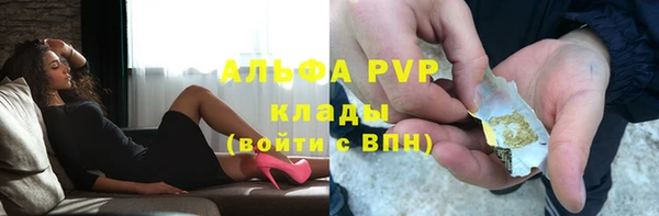 шишки Елизово