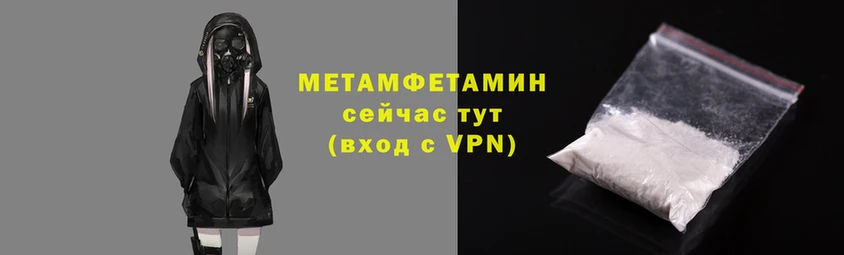шишки Елизово
