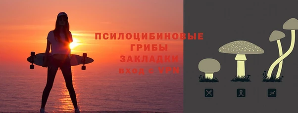 твердый Ельня