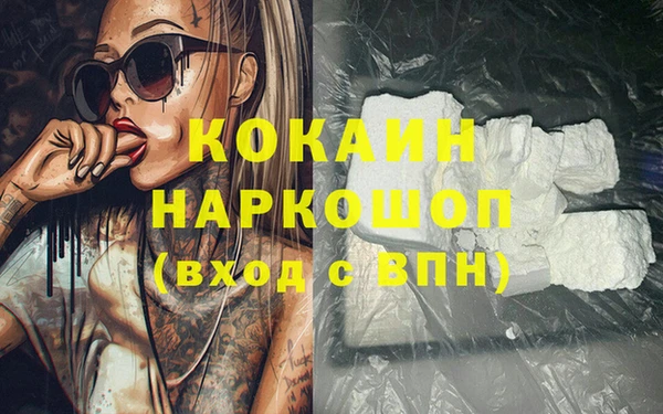 шишки Елизово