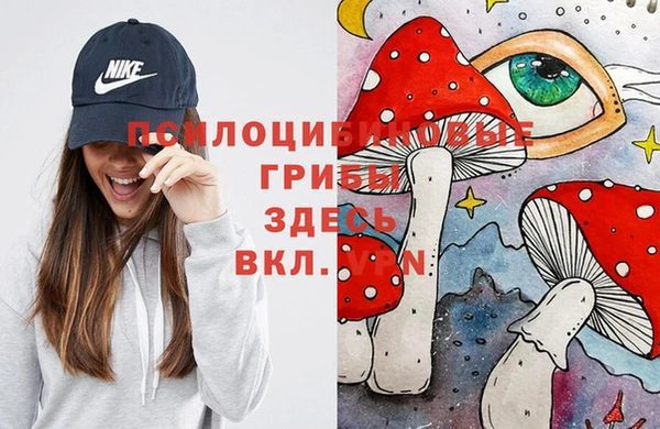 твердый Ельня