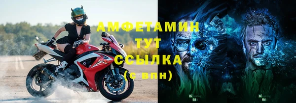 твердый Ельня