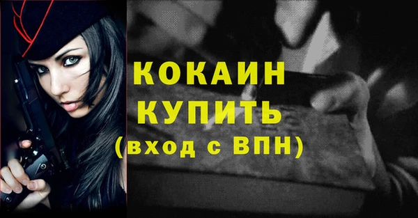 шишки Елизово
