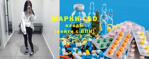 шишки Елизово