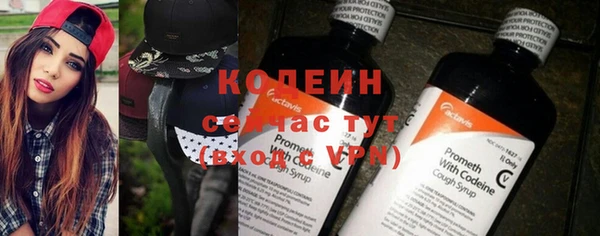 шишки Елизово