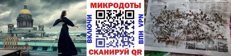 Купить закладки  Олонец  Галлюциногенные грибы MAGIC MUSHROOMS 